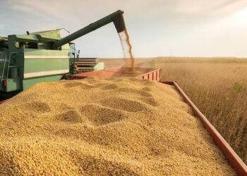 Febrero mostró una mejora en el ingreso de divisas desde el sector agrícola