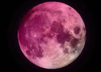 ¿Cuándo y cómo se podrá disfrutar de la Luna rosa?