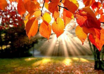 Pronostican el arribo de temperaturas otoñales para la próxima semana en Entre Ríos