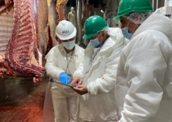 Descontrol en el SENASA, auditoría exterior pone en riesgo las exportaciones de Argentina