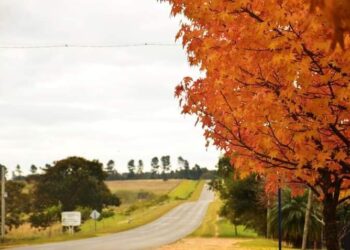 Cómo seguirá el clima el resto del fin de semana en la víspera de Pascuas