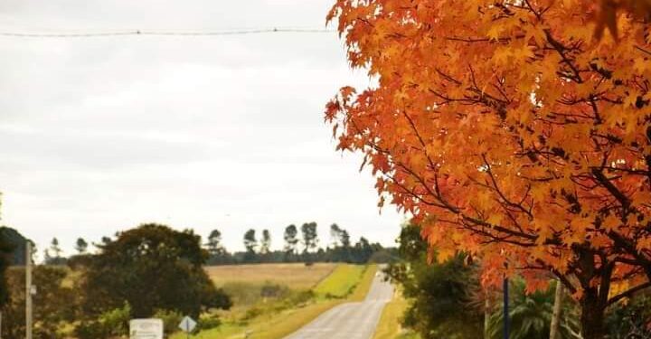 Cómo seguirá el clima el resto del fin de semana en la víspera de Pascuas