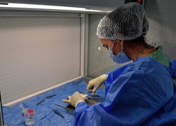 Más de 1.200 córneas procesadas: el modelo sanitario entrerriano que acorta tiempos y mejora vidas