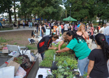 Paraná: Exitosa jornada de la Feria Gazzano en Movimiento
