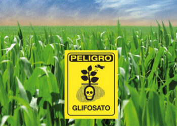 Santa Fe: La Corte confirmó en un fallo que el glifosato provoca daño genético