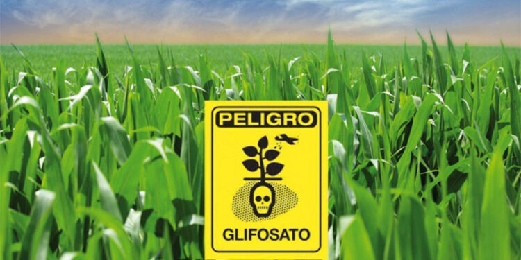 Santa Fe: La Corte confirmó en un fallo que el glifosato provoca daño genético