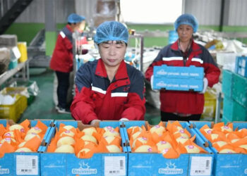Insólito, Argentina importa Peras de China