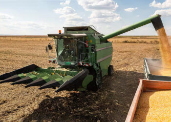 Fuerte caída: el mercado comienza a sentir la presión de la oferta de la cosecha de soja