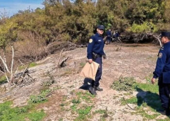 Hallaron restos óseos dentro de El Palmar, en una zona de difícil acceso