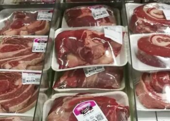 Libre competencia, llegó la carne brasileña al país: oferta récord sacude al mercado nacional.