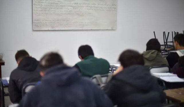 Pruebas Aprender: la mitad de los estudiantes no alcanza los niveles de lectura esperados