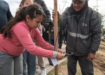 Paraná celebra su aniversario fortaleciendo el Plan de Arbolado Urbano