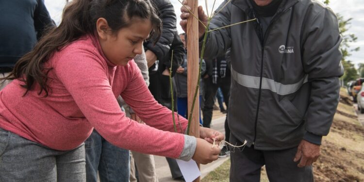 Paraná celebra su aniversario fortaleciendo el Plan de Arbolado Urbano