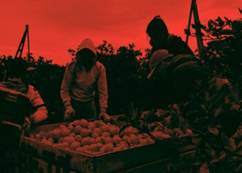 Advierten corte de la ruta 14 por reclamos salariales, lo hizo el sindicato de la fruta