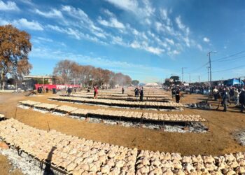 Concepción del Uruguay batió el récord Guinness de pollo asado con más de 8.600 kilos