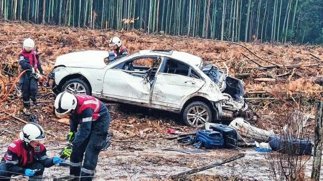 Insólito: chocaron un ciervo, una persona se detuvo, pero no los ayudó, se llevó el animal