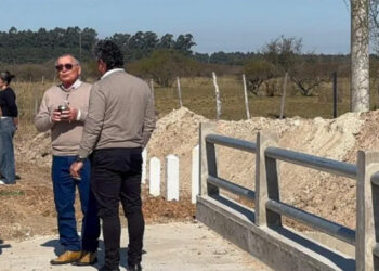 Fondos de Salto Grande beneficiarán sólo a Concordia y Federación