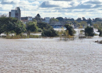 Alivio en el litoral entrerriano: El río Uruguay llegó a su pico de inundación