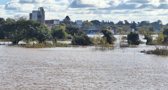 Alivio en el litoral entrerriano: El río Uruguay llegó a su pico de inundación