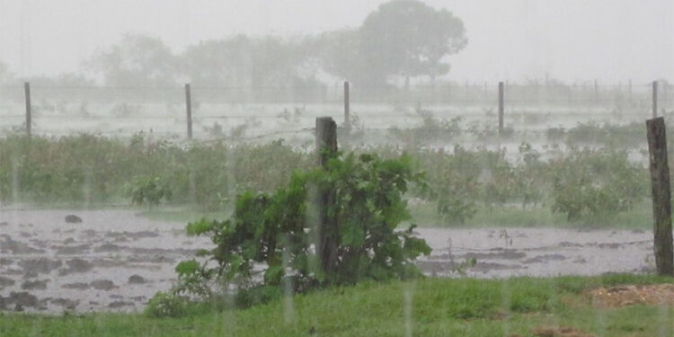 En junio llovió un 35,5% menos del promedio en Entre Ríos. Análisis de la Bolsa de Cereales