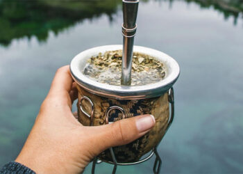 Importante revelación sobre la yerba mate y sus beneficios metabólicos.