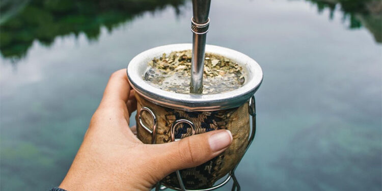 Importante revelación sobre la yerba mate y sus beneficios metabólicos.