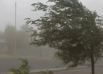 Pronostican ráfagas de viento de hasta 60 km/h para gran parte de Entre Ríos