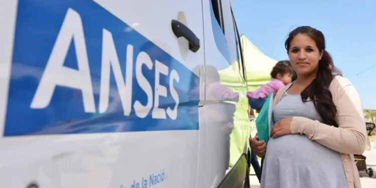ANSES reanuda el pago de Alimentar, conocé el calendario de Leche-Plan 1000 días aquí