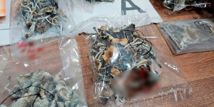 Concepción del Uruguay: Murió un joven tras consumir hongos alucinógenos