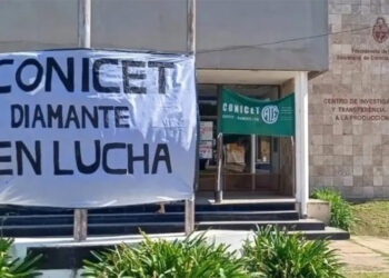 Conicet: entre el furor por el streaming científico y el paro contra el ajuste