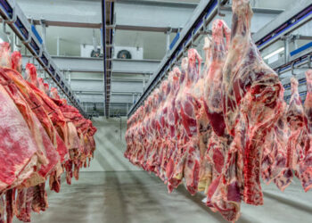 También habrá retenciones cero para la exportación de carnes