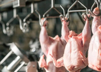 Caen las exportaciones de carne aviar, las importaciones aumentaron casi 300% en el año