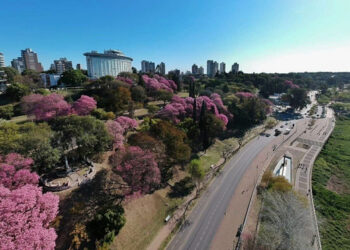 Vuelve, vuelve primavera