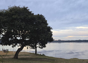 Domingo soleado y probabilidad de lluvias a mitad de semana para nuestra provincia