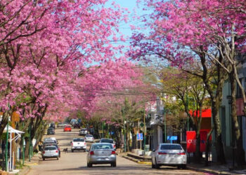 ¿Cómo será el tiempo en esta primavera?