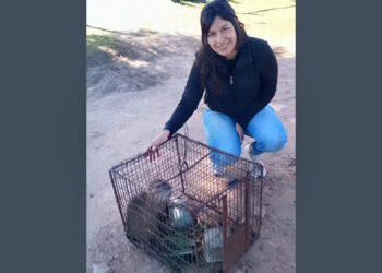 Rescate de un animal para trasladarlo a su hábitat