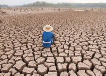 Cambio Climático: Paraná, será sede del Encuentro Federal que comenzará el miércoles