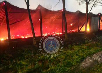 Tremendo incendio de una granja avícola en la Colonia San José
