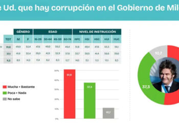 Encuesta arroja una imagen negativa del gobierno de Milei