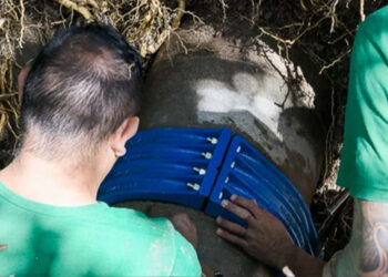 Finalizó reparación de caño maestro de agua potable en Paraná