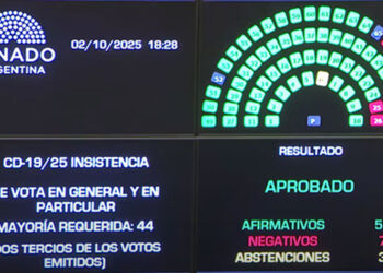 Nuevo revés para el Gobierno: el Senado rechazó los vetos de Milei al financiamiento del Garrahan y las universidades