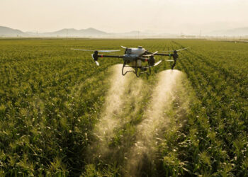 Prohíben fumigar con drones cerca de su vivienda, tras confirmarse daño genético en una niña expuesta a agroquímicos