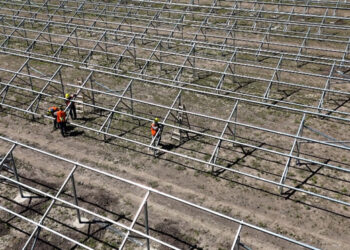 Paraná: Avanza la instalación de las estructuras fotovoltaicas en el Parque Industrial