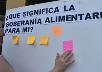 Soberanía alimentaria, impulsada a través de proyectos de la UNER