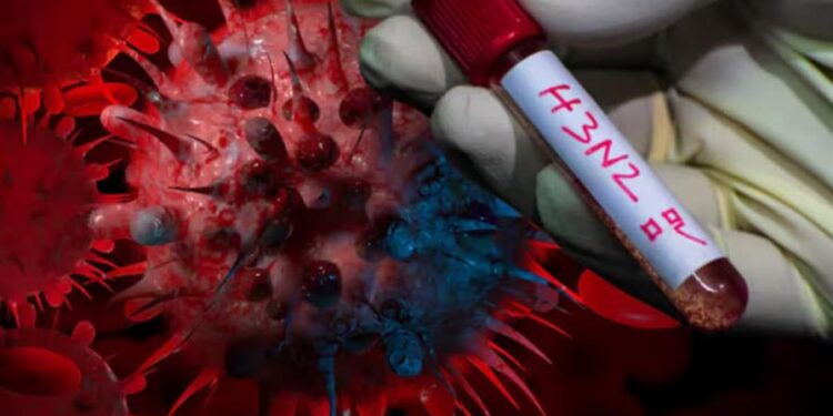 Confirmaron que la Influenza A H3N2 está en el país: hay dos adolescentes y un niño infectados