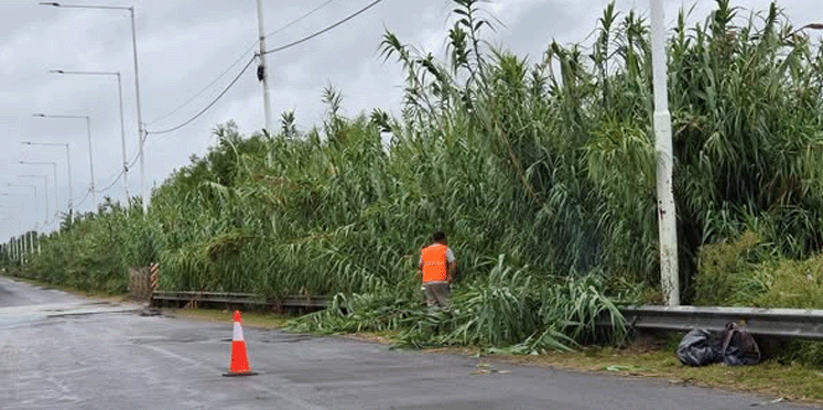 Trabajos en el acceso a Pueblo Liebig