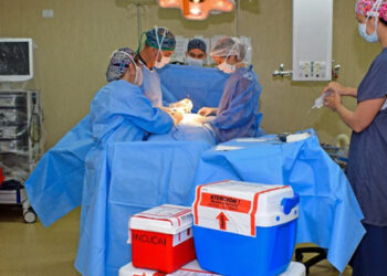 Donación de órganos en Paraná favorece a cinco personas, dos en emergencia nacional