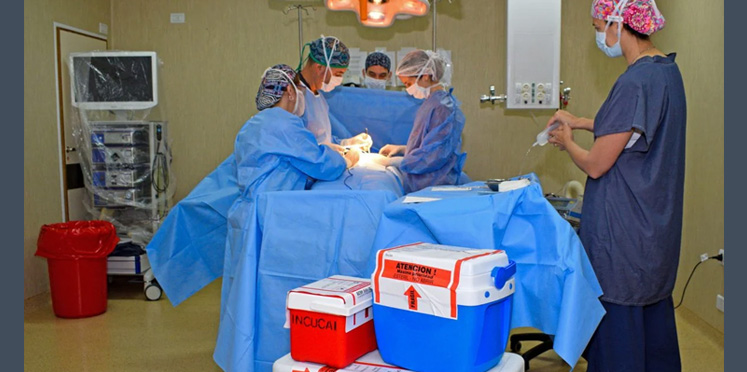 Donación de órganos en Paraná favorece a cinco personas, dos en emergencia nacional