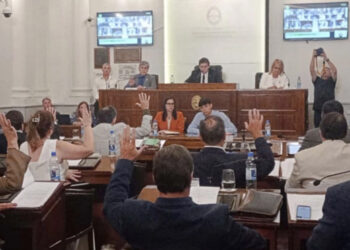 Sin el apoyo de senadores del PJ, el oficialismo logró los votos para “restablecer” la emergencia