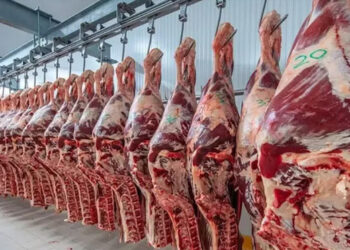El Gobierno creó un supersistema “integral” para el control de la faena bovina
